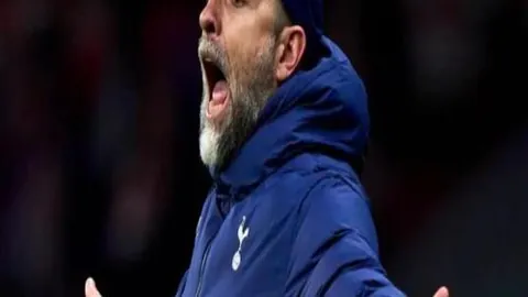 周六010国际赛：加拿大对冰岛专家质合分析推荐